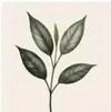 Impact Icon
