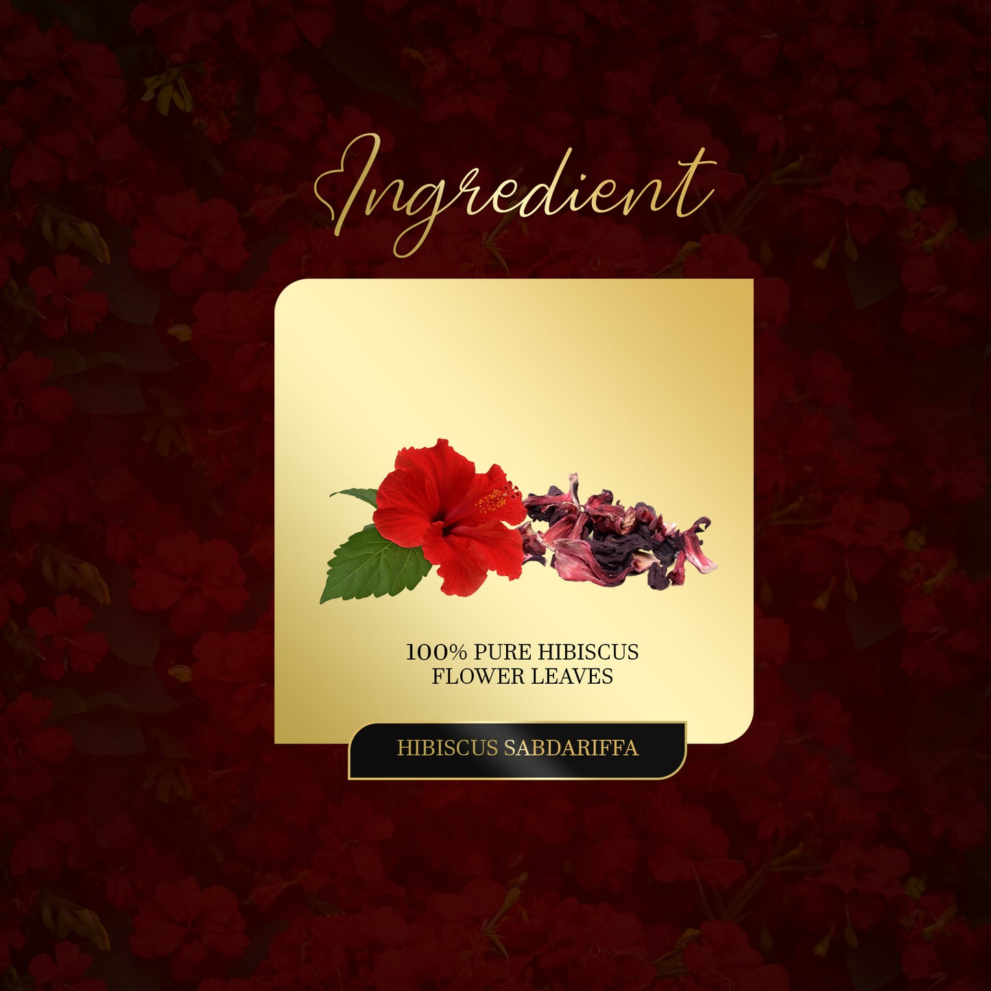Shop Organic Hibiscus Tea - ARQ Herbal
